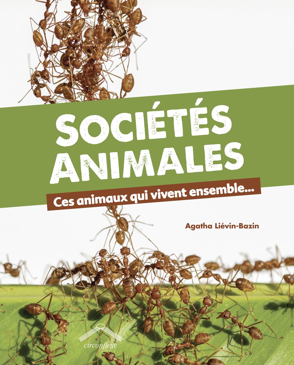 Sociétés animales - Agatha Liévin-Bazin