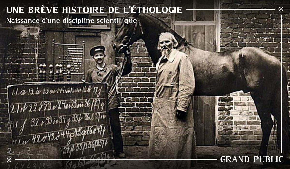 Conférence Une brève histoire de l'éthologie - Agatha Liévin-Bazin