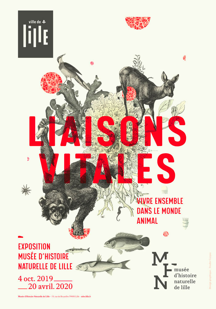 Liaisons vitales