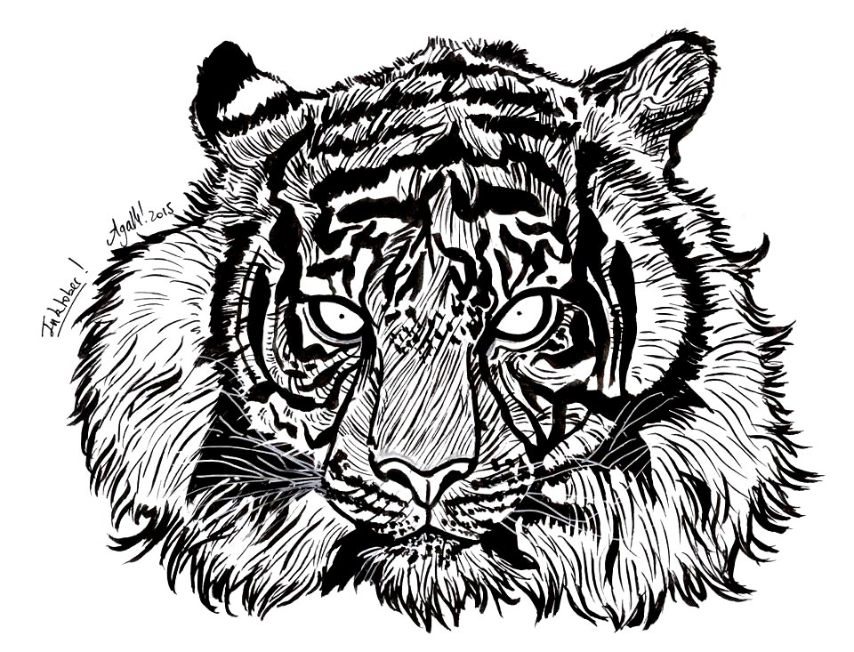 Tigre - Inktober
