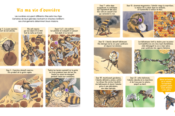 Capture d'écran 2026-04-27 143724