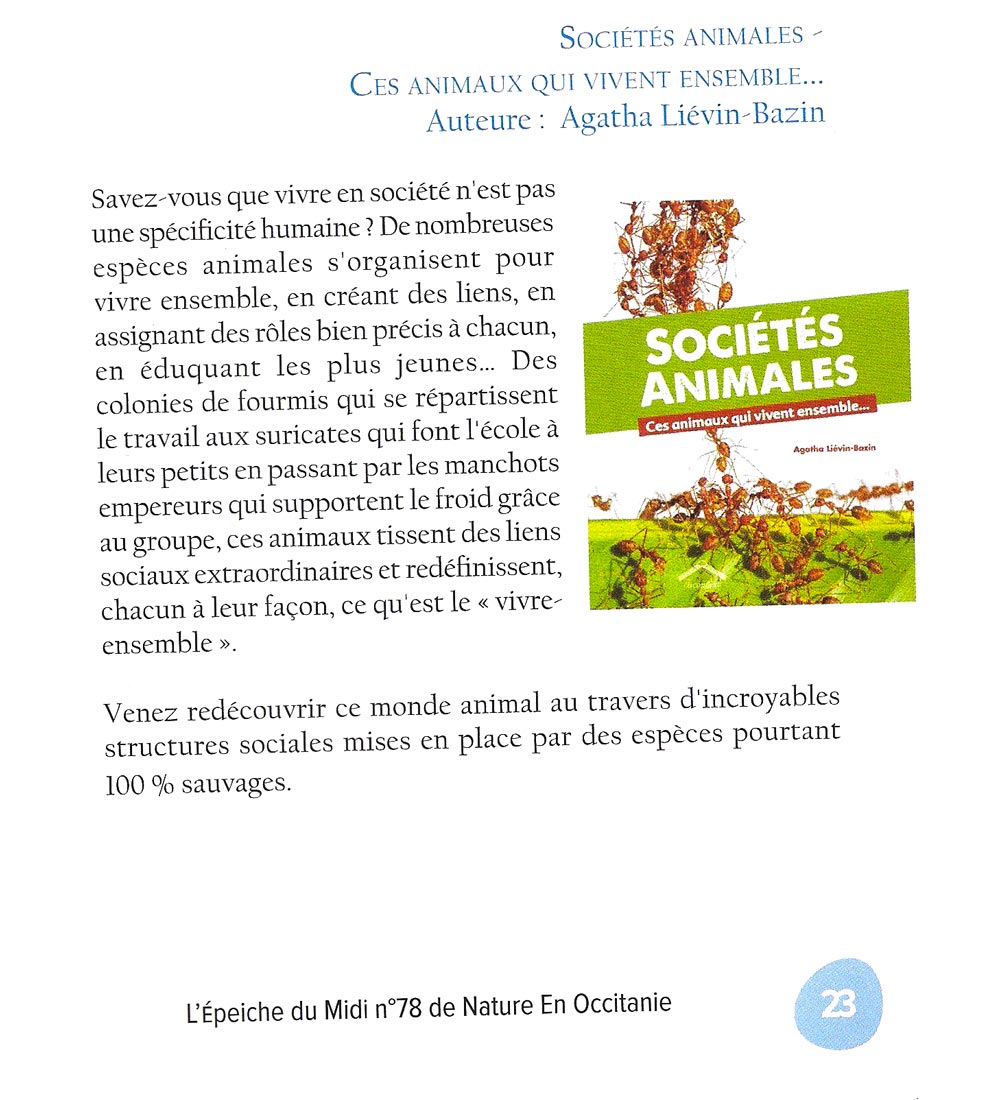 Sociétés animales / Presse - Epeiche du Midi
