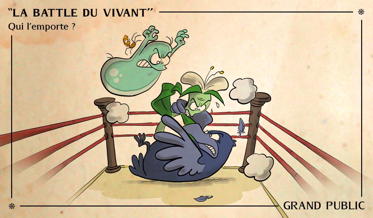 Conférence Battle du vivant - Agatha Liévin-Bazin